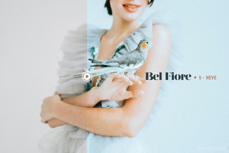 25xt-127459 Bel-Fiore-Portrait-Presets-for-Lightroom--ACRz8.jpg