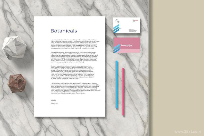 25xt-155603 stationerymockupvol1z3.jpg
