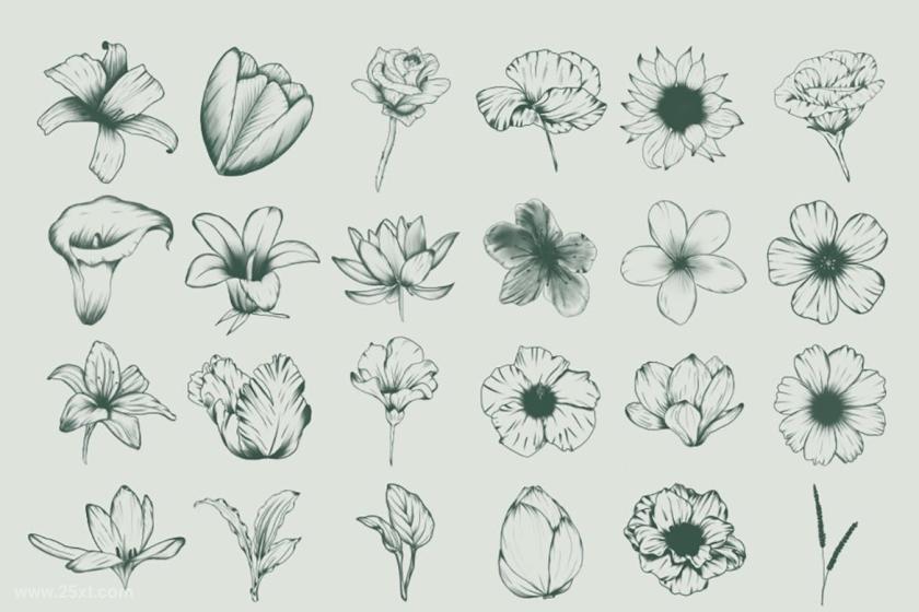 25xt-155609 Fiore–ProcreateStampBrushz3.jpg