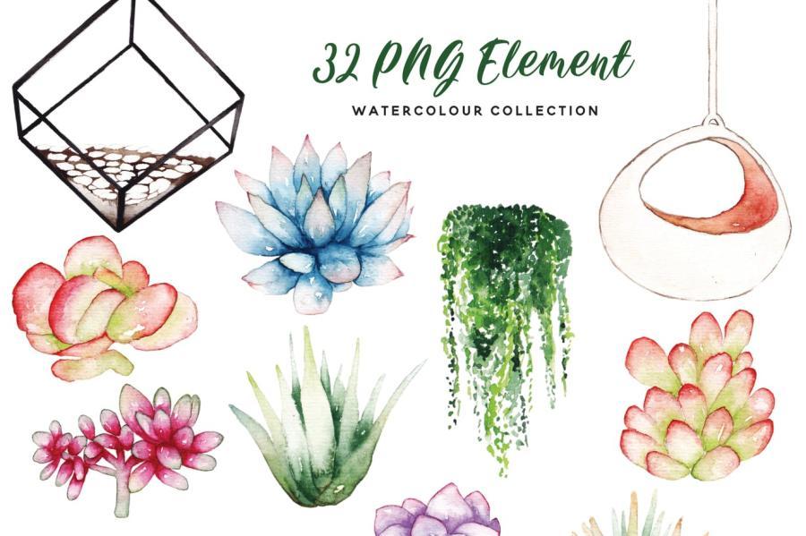 25xt-155658 SucculentTerrariumWatercolorz7.jpg