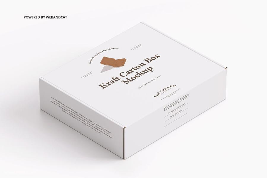 25xt-155690 MailingCartonBoxMockup3z5.jpg