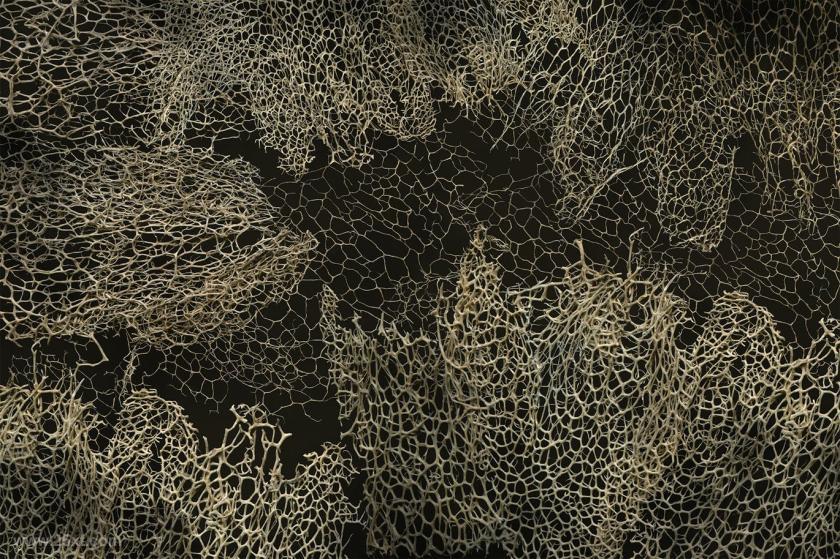 25xt-484556 NaturalBackgroundsVol3z5.jpg