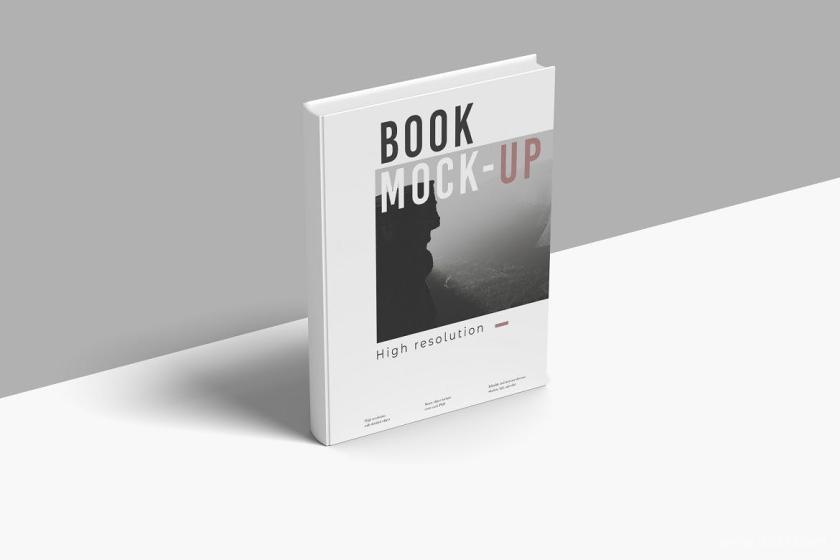 25xt-484569 BookMockupV2z3.jpg
