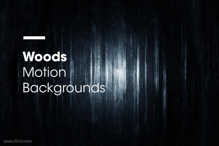 25xt-5042847 WoodsMotionBackgroundsz3.jpg