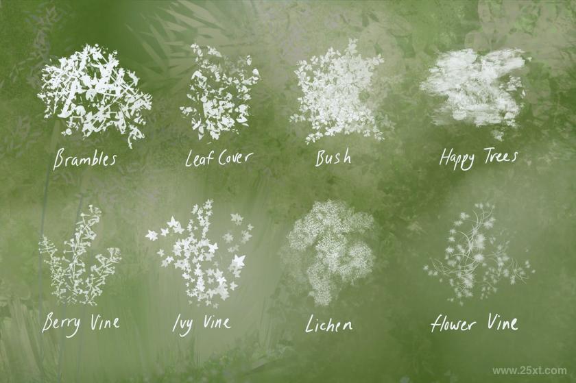 25xt-484646 NatureStudio-LandscapeProcreateBrushesz7.jpg