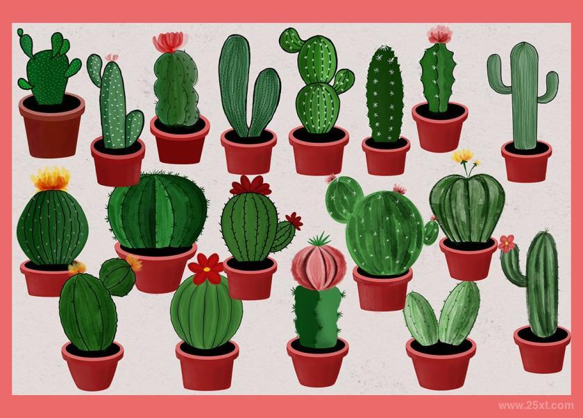 25xt-484659 18WatercolorCactusz3.jpg