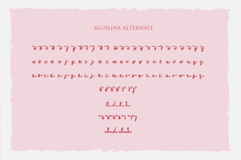 25xt-610013 AguilinaVN-HandwritingFontz4.jpg