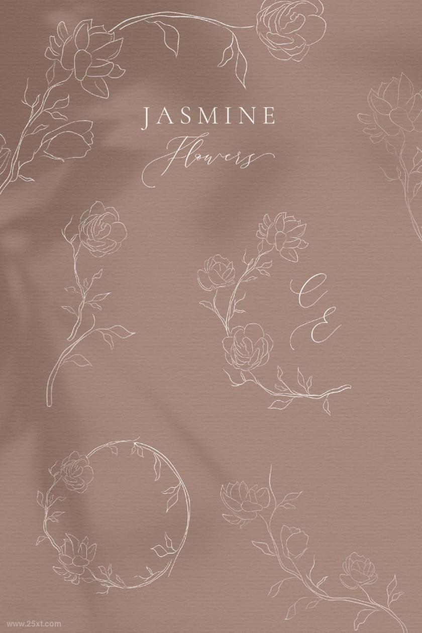 25xt-610061 LinedrawingWhiteJasmineFlowerillustrationsz16.jpg
