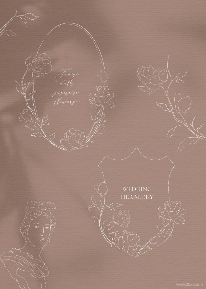 25xt-610061 LinedrawingWhiteJasmineFlowerillustrationsz17.jpg