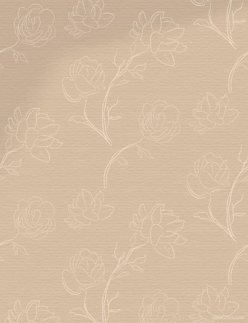 25xt-610061 LinedrawingWhiteJasmineFlowerillustrationsz19.jpg