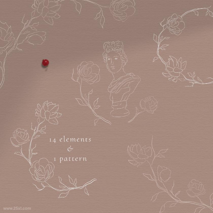 25xt-610061 LinedrawingWhiteJasmineFlowerillustrationsz20.jpg