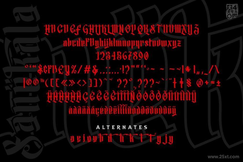 25xt-610073 SanekalaTypefacez7.jpg