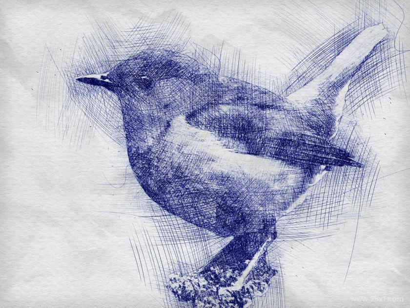 25xt-610484 PenSketchPhotoshopActionz17.jpg