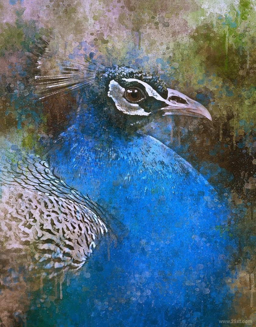 25xt-610486 Aquarelle2PhotoshopActionz4.jpg