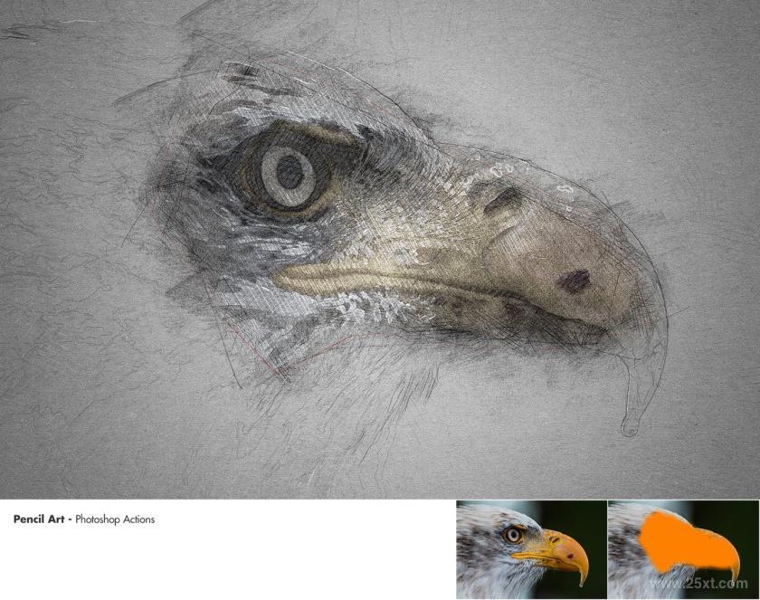 25xt-610500 PencilArt-PhotoshopActionsz13.jpg