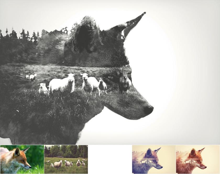 25xt-610504 AdvancedDoubleExposure-PhotoshopActionz6.jpg