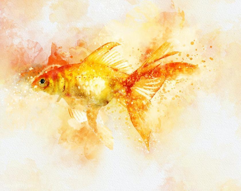 25xt-610509 WatercolorSplashArtPhotoshopActionz6.jpg