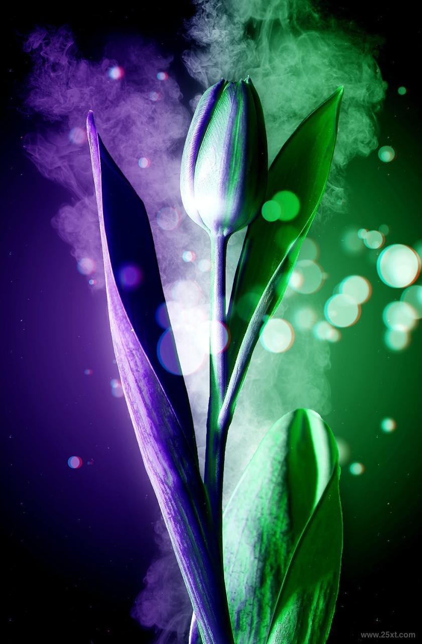 25xt-610511 DualLightPhotoshopActionz12.jpg