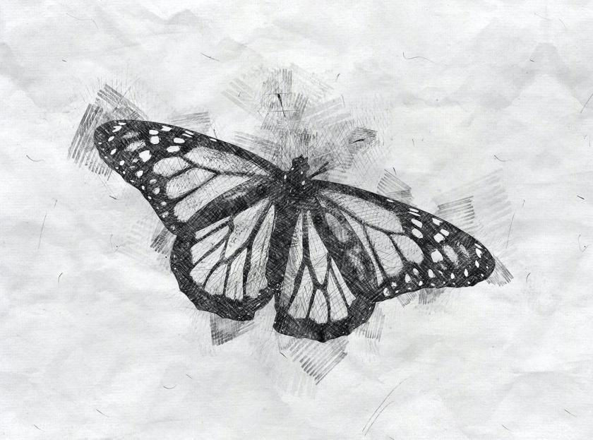 25xt-610524 PencilSketchPhotoshopActionz17.jpg