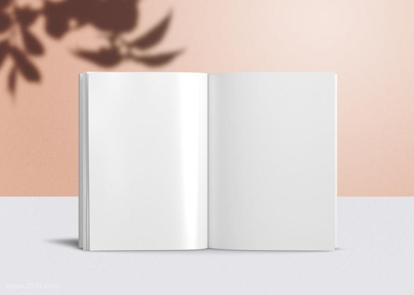 25xt-710337 UsLettermagazineMockupz4.jpg