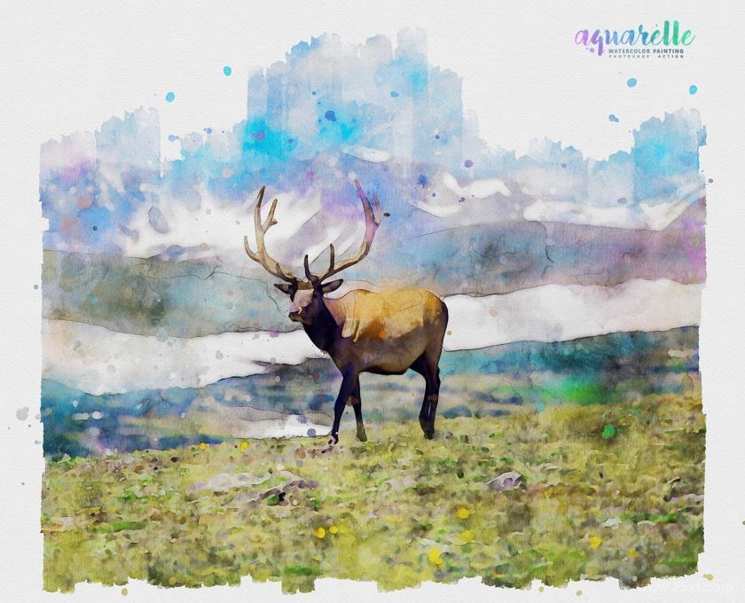 25xt-710377 AquarelleWatercolorPaintingPhotoshopActionz13.jpg