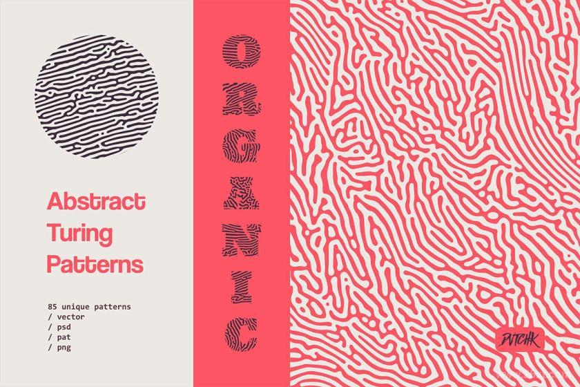 25xt-710400 OrganicTuringPatternsz3.jpg