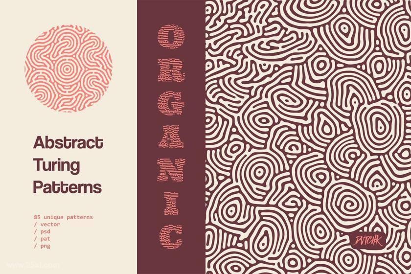 25xt-710400 OrganicTuringPatternsz4.jpg
