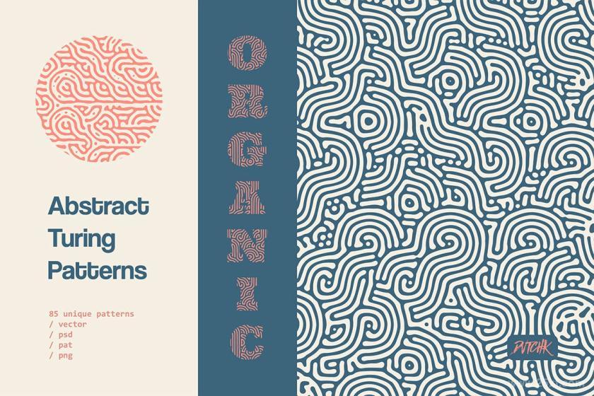 25xt-710400 OrganicTuringPatternsz6.jpg