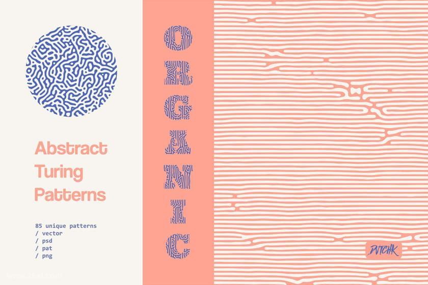 25xt-710400 OrganicTuringPatternsz7.jpg