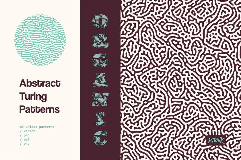 25xt-710400 OrganicTuringPatternsz8.jpg