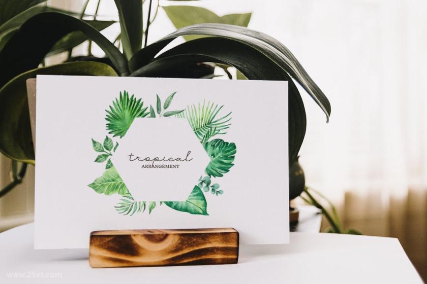 25xt-710415 TropicalLeavesandFoliageWatercolorSetz3.jpg