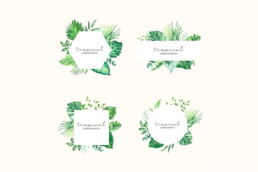 25xt-710415 TropicalLeavesandFoliageWatercolorSetz4.jpg