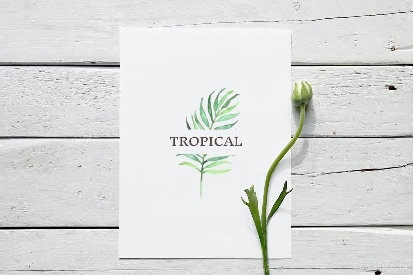 25xt-710415 TropicalLeavesandFoliageWatercolorSetz5.jpg