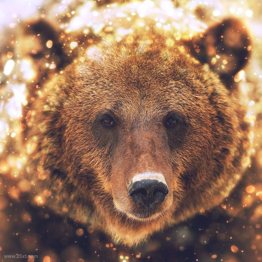 25xt-710426 LensDustPhotoshopActionz7.jpg