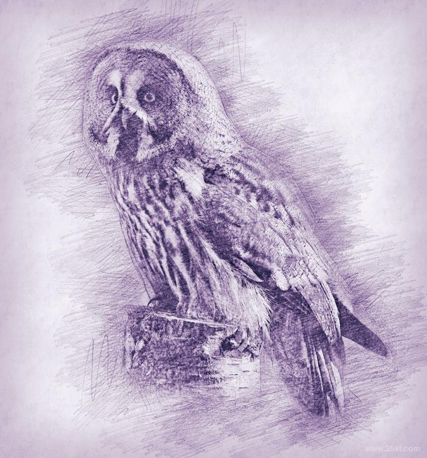 25xt-710441 DrawingPhotoshopActionz10.jpg