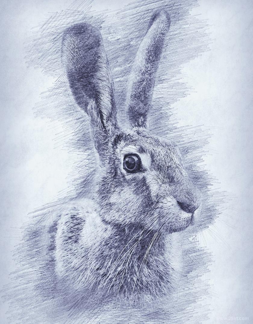 25xt-710441 DrawingPhotoshopActionz12.jpg