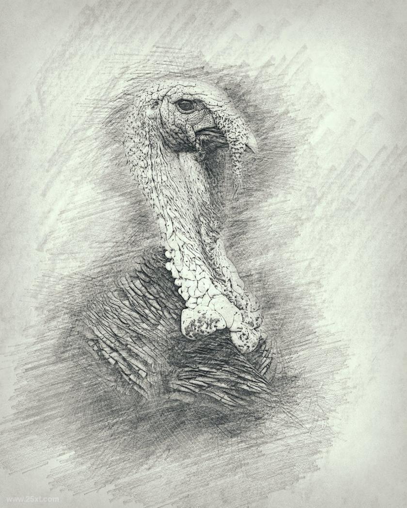 25xt-710441 DrawingPhotoshopActionz15.jpg
