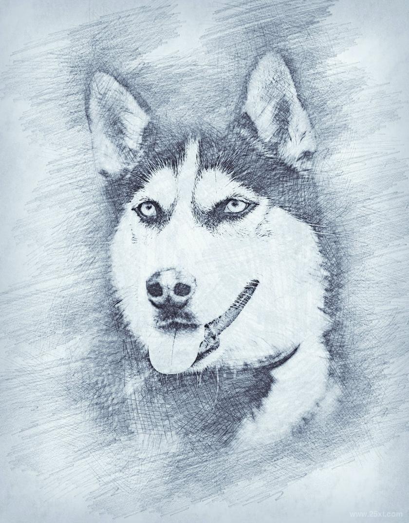 25xt-710441 DrawingPhotoshopActionz6.jpg