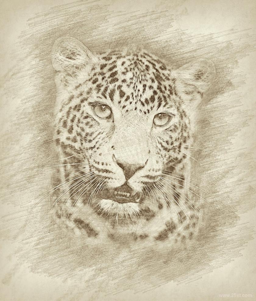 25xt-710441 DrawingPhotoshopActionz8.jpg