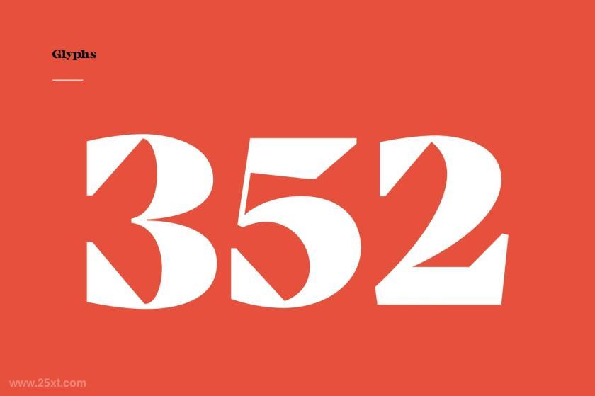 25xt-610698 CamijoDisplaySerifFontz10.jpg