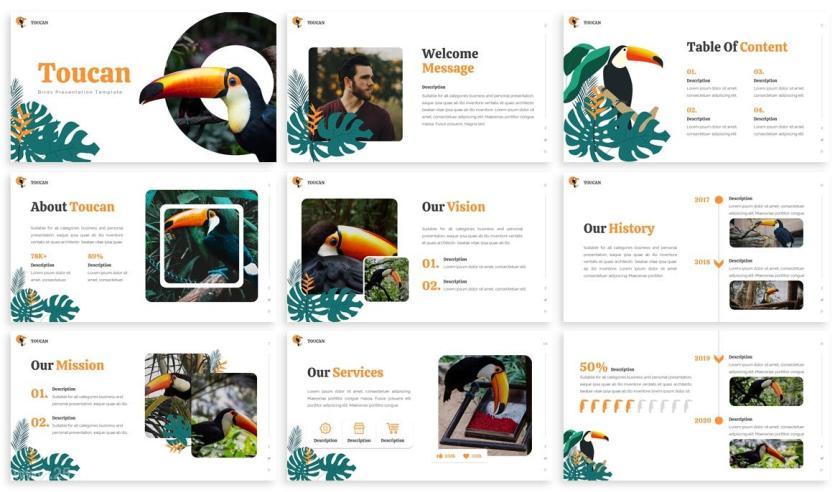 25xt-710010 Toucan-TropicalKeynoteTemplatez3.jpg