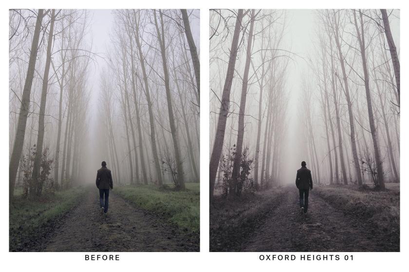 25xt-710020 20FoggyMorningLightroomPresetsandLUTsz6.jpg