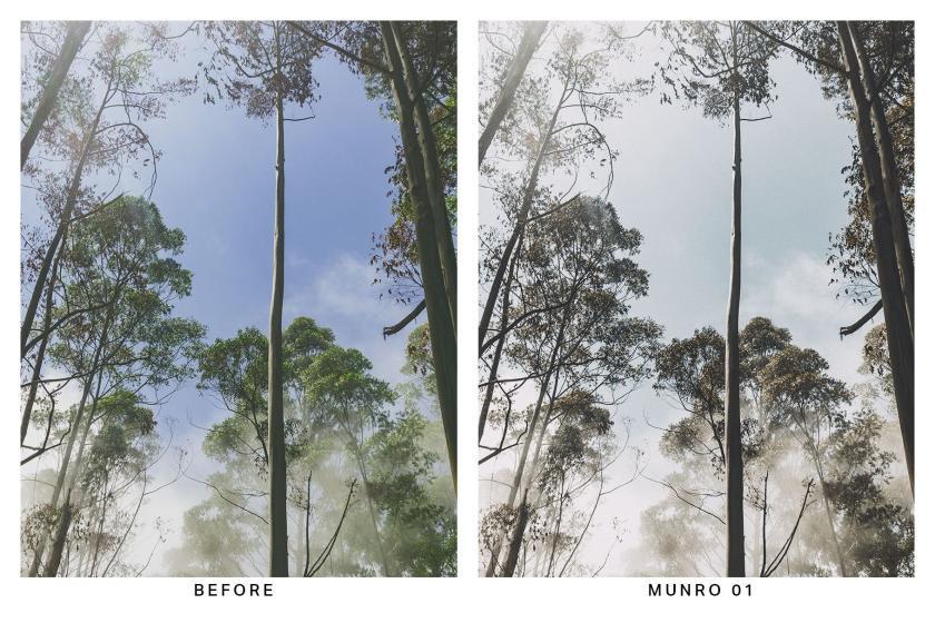 25xt-710028 20MoodyForestLightroomPresetsandLUTsz6.jpg