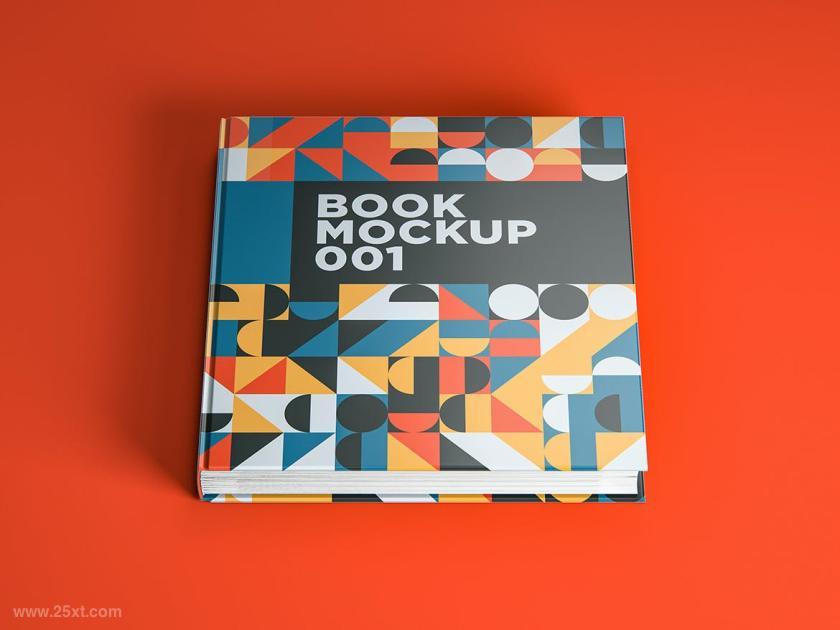 25xt-610762 BookMockup001z3.jpg