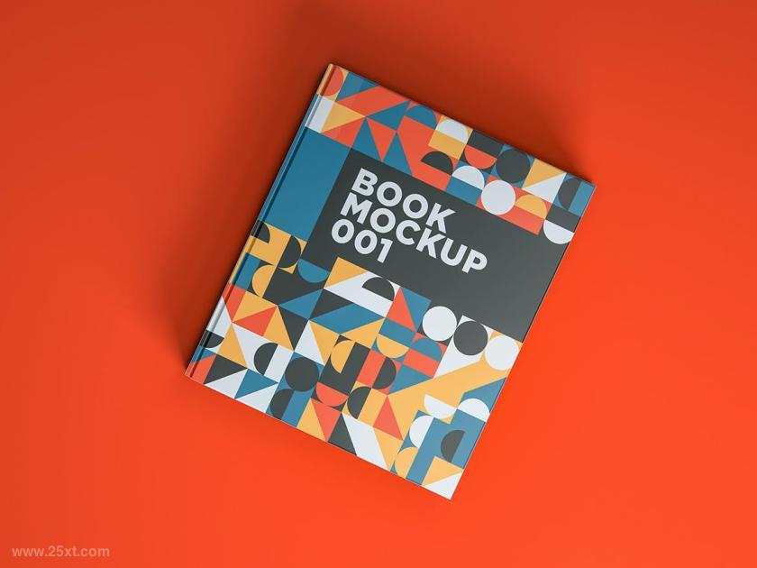 25xt-610762 BookMockup001z4.jpg