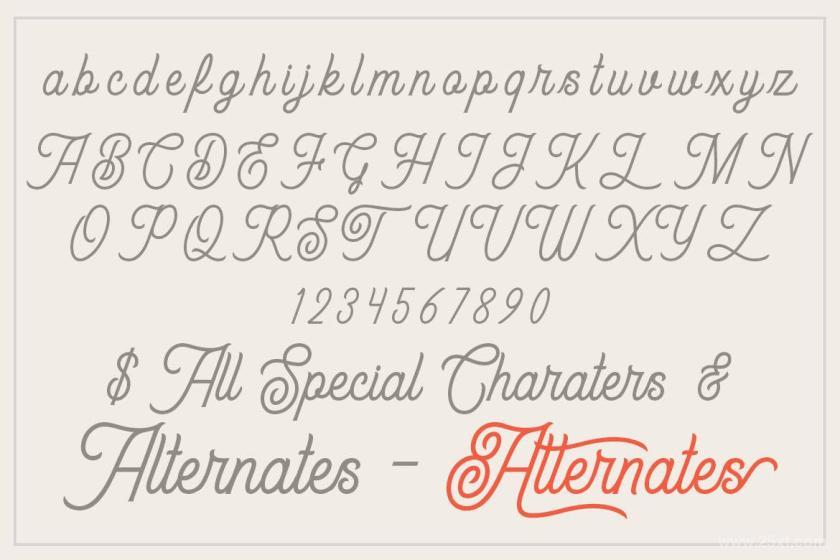 25xt-710697 AlmerianRetroScriptFontz13.jpg