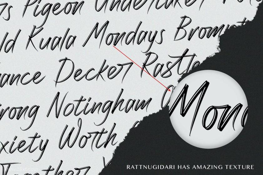 25xt-710698 Rattnugidari-BrushScriptFontz3.jpg