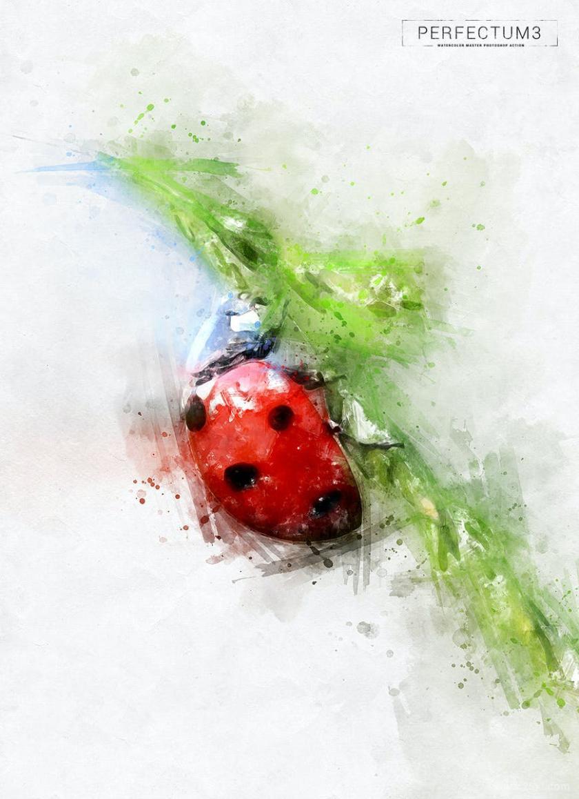 25xt-710707 Perfectum3-WatercolorMasterPhotoshopActionz11.jpg
