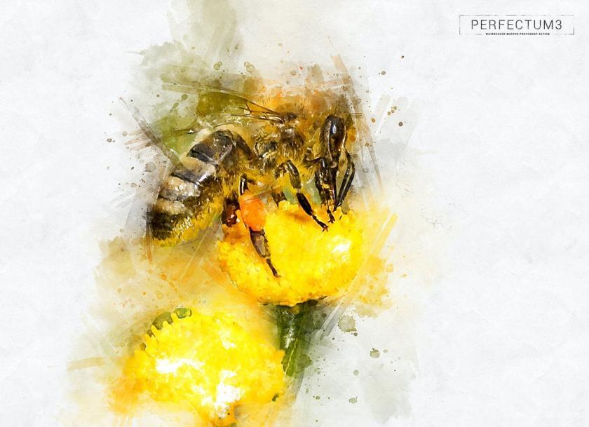 25xt-710707 Perfectum3-WatercolorMasterPhotoshopActionz15.jpg