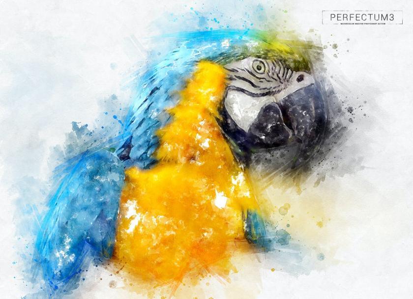 25xt-710707 Perfectum3-WatercolorMasterPhotoshopActionz4.jpg